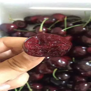 ������������ӣ����|��ӭ����