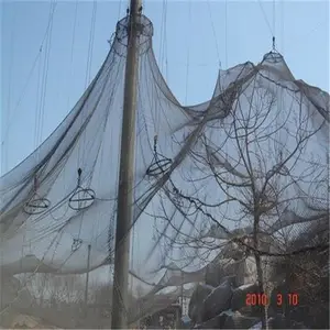 �������������� �������������Χ�� ���������