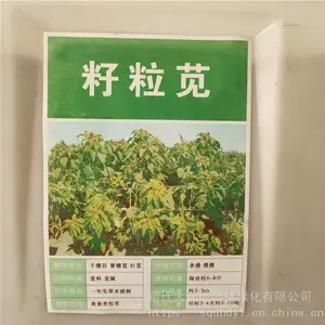 �����²��������� ���������� ��ѿ*** �۸���� ***
