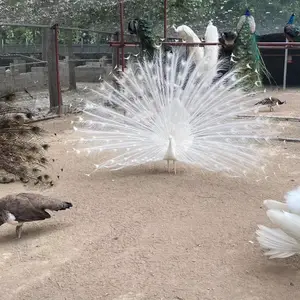 ���Ϳ�ȸ