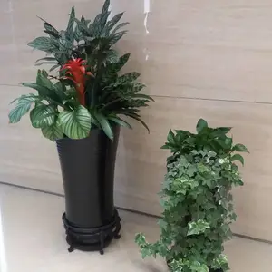 ����������ֲ���ޡ�����������ֲ�������Ӧ��