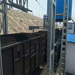 ���������˰�����ú���ֳ�����̬����