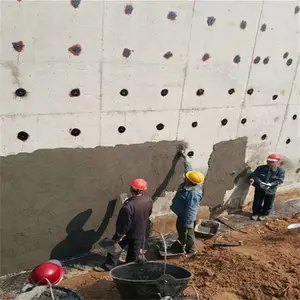 ��ɭ�������������һ�����֬����