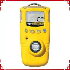 BW GAXT-V-DL���������������� GasAlert Extreme������