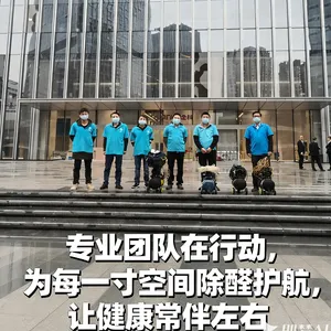 �����·�װ�޳���ζ���� �칫�Ҽ�ȩ����������� רҵ�Ŷ�����ʩ��