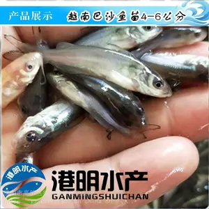 ��ˮ��ɳ�����ۺ������١�Ʒ�ְ�ɳ������������ȫ���ṩ��ֳ����