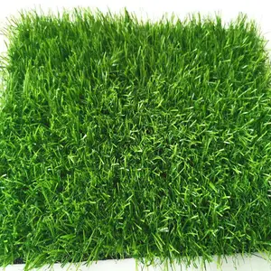 1.5cm���ܱ��������ƺΧ�� ��Ѹɸ��ѧУ��̨��̺�ص�����ƺ����