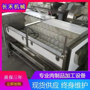 手剥笋鲜毛笋清洗去泥 带壳竹笋子毛辊清洗机 春笋毛刷清洗