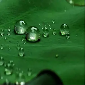�����ͽ��ռ� ������ɫ������޸��� ��̼��Ϳ�ϱ�����