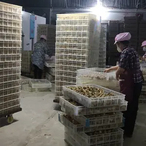 ��Ӧ���� ������ ���ϻ� �߲��̿Ǽ� ��ڼ� ������