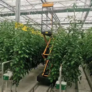 蔬菜大棚水果升降采摘车 运输登高车 多功能采摘车