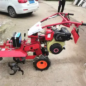 186������԰������ ҩ�İ��Ŀ����� ��ݮ�ع���¢�� �˵�ǰ��������