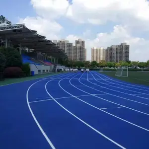 潮州塑胶跑道施工_人造草足球场铺设_学校操场跑道球场施工_潮州球场建设工程_能冠体育