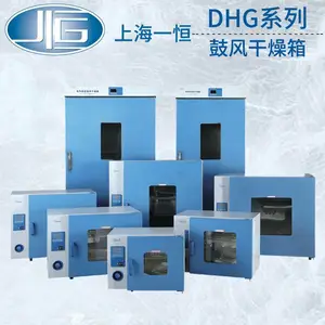 �Ϻ�һ����ȹķ������DHG-9013A