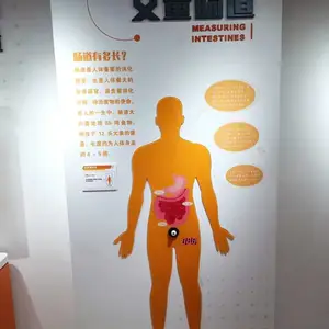 科技展品 科普展品 展馆设计 科技馆建设 教学仪器 丈量肠道