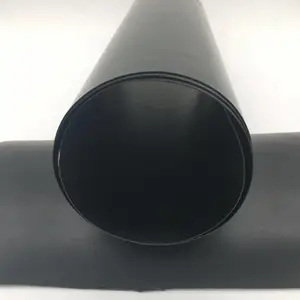 ����Ĥ����Ĥÿƽ��