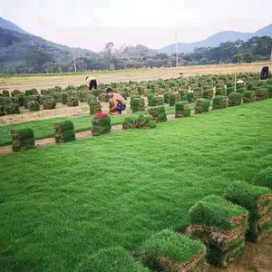 �㶫���� ��������Ƥ �������Ų�***�� �Լ۱ȸ�