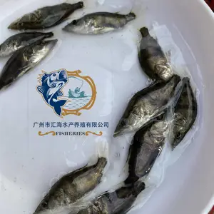 �ͼ�������ˮ��ֳ������ ������ ���������� ����