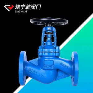����Ǭ ���ƹܽ�ֹ�� WJ41H-16C ̼�ַ�����ֹ��dn65 ����