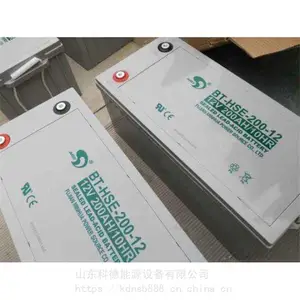 ��������BT-HSE-250-12 12V250AH/10HR UPS��Դ EPS��Դ����