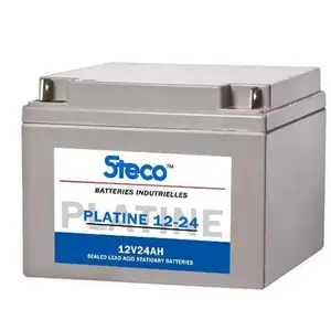 法国STECO蓄电池-法国时高蓄电池PLATINE12-100