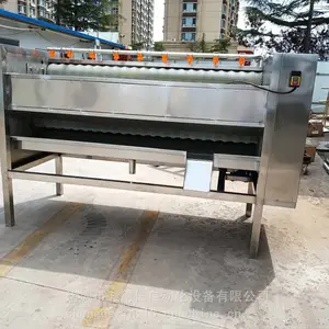 小型全自动果蔬毛刷脱皮机 土豆红薯毛辊脱皮机