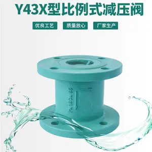 Y43X-16C��������ֲ����͸�ʴ�̶�����ʽ������ѹ��