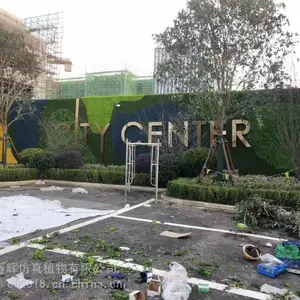 �̳����з�����ֲǽ�ֳ�����