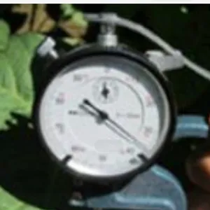 ָ��ʽҶƬ�����/ָ��ҶƬ��Ȳ�����/ҶƬ��ȼ���ǣ����ģ� �ͺ�:LB066/ZX-3 ��ţ�