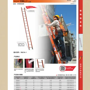 江西 美国 WERNER/稳耐 D6208-1 电绝缘玻璃钢直梯