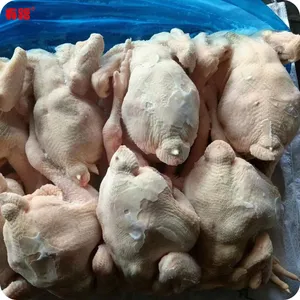 �䶳���Ƽ�����_������ʳ�ӹ�_��·ʳƷ���ҹ���