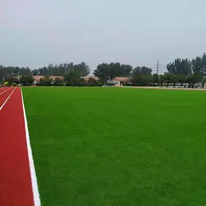 �й������ƺ �����ƺ С��Χ����ƺ