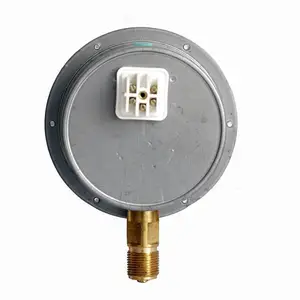 ѩ�������Ǳ� �����ӵ�ѹ�������ѹ24V����
