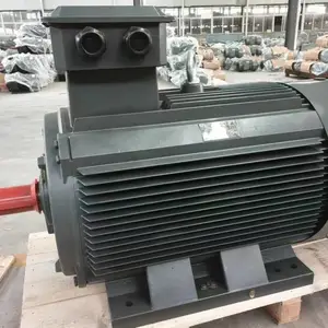 ��Ԫ�����ӦYE3-200L2-2���ܵ綯�� YE��ϵ�в�Ʒ