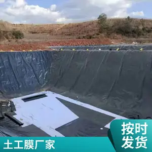 TG 短丝复合土工膜 垃圾填埋场水库水利工程复合膜两布一膜世杰