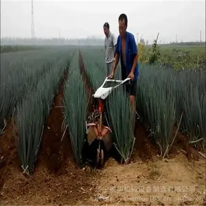 ��������С������ʽ��¢�������๦�ܿ���������