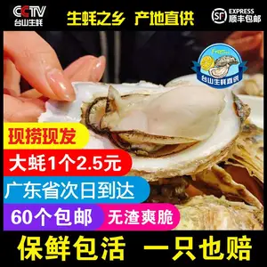 广东台山生蚝鲜活带壳牡蛎小蚝2-3两当天打捞包活包肥