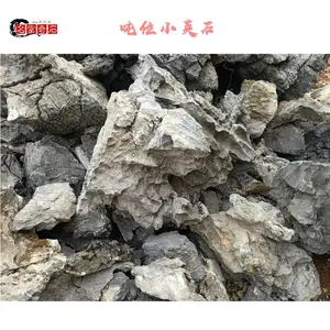 �㶫��ԶС�Ͷ�λӢʯ ��·����Ư��ӢʯͼƬ �麣Ӣʯ