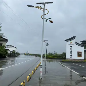 6米太阳能路灯 路灯厂 小区路灯