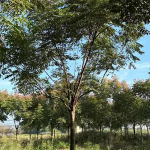 ���������� �� ����18-22�������� ҡǮ����������