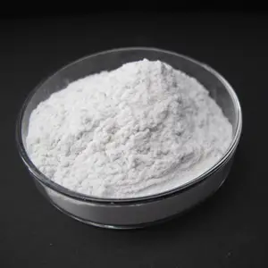 5΢�� �ߴ�ʯӢ��99.*** ���˰뵼���� �����ȶ� ���ڹ�Ӧ