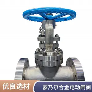 ��ŷ���� ���˶��Ͻ�բ�� MONEL400 M35-1 �����綯����