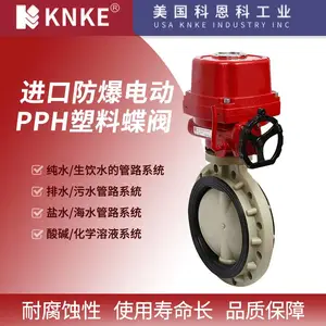 进口防爆电动PPH塑料蝶阀 美国科恩科KNKE品牌