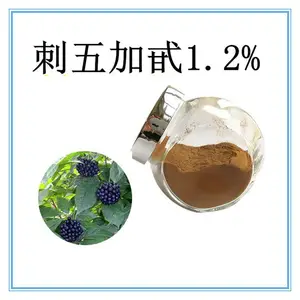 刺五加甙1.2% 斯诺特生物 十余年生产经验 可定制生产