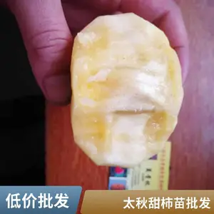 �ձ�̫�����ӹ����� ����ֱ�ӳ�Ʒ�ֲ���������Դ��ֲ������