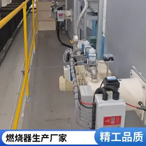 天然气燃烧机 中央空调直烧机低氮改造燃烧器 岱鼎燃烧厂家供应