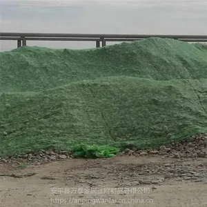 ���Ѹ����� �ǹ��ط����� ������������