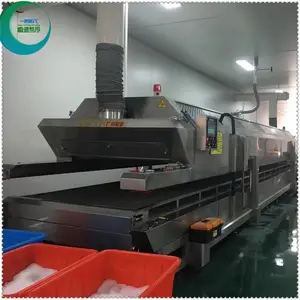 广州极速预制品开背鲈鱼鱼柳 -196度板带式速冻线 小型设备多少钱