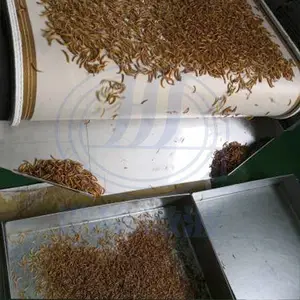 �����濾�豸 �������΢���컯�� ��������ɷ��豸