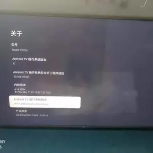 Android 11/Google TV